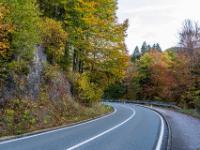 Herbstimpression an der Priental Straße